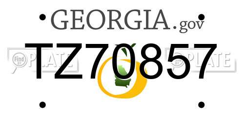 TZ70857 Georgia License Plate