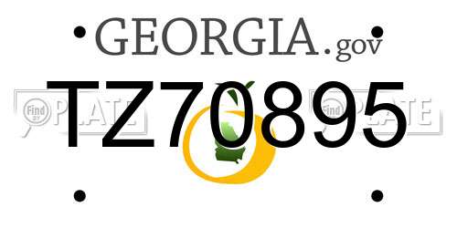 TZ70895 Georgia License Plate