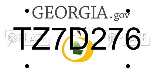 TZ7D276 Georgia License Plate