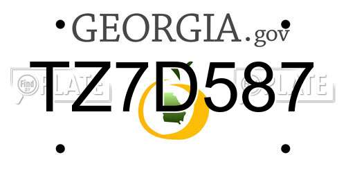 TZ7D587 Georgia License Plate