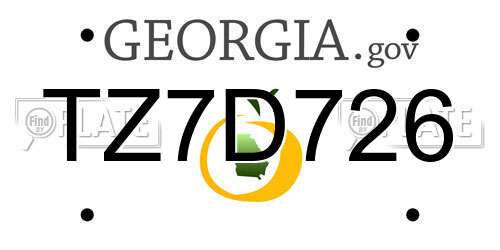 TZ7D726 Georgia License Plate