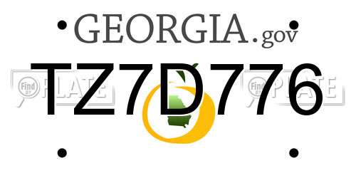 TZ7D776 Georgia License Plate