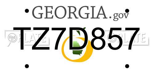 TZ7D857 Georgia License Plate
