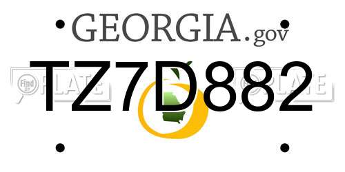 TZ7D882 Georgia License Plate