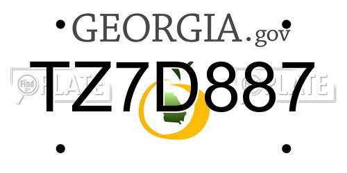 TZ7D887 Georgia License Plate