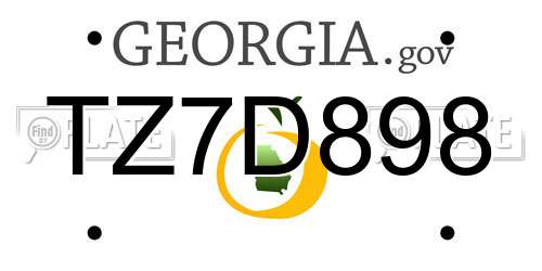 TZ7D898 Georgia License Plate