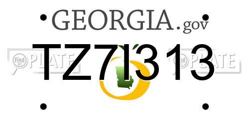 TZ7I313 Georgia License Plate