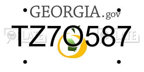 TZ7O587 Georgia License Plate