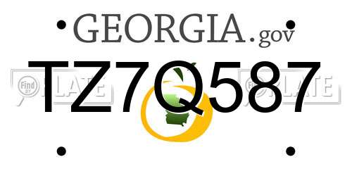 TZ7Q587 Georgia License Plate