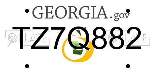 TZ7Q882 Georgia License Plate