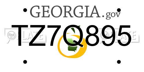 TZ7Q895 Georgia License Plate