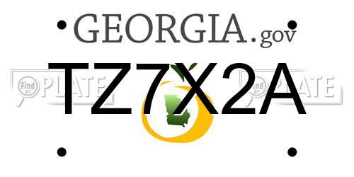 TZ7X2A Georgia License Plate