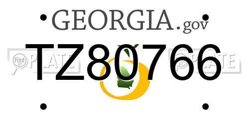 TZ80766 Georgia License Plate