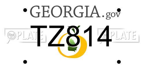 TZ814 Georgia License Plate