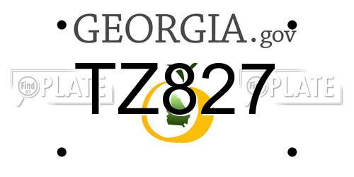 TZ827 Georgia License Plate