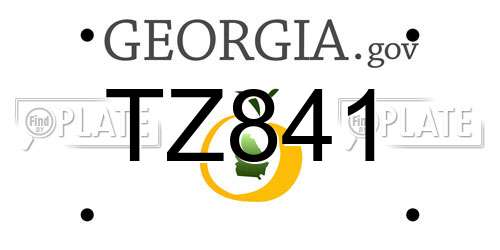 TZ841 Georgia License Plate