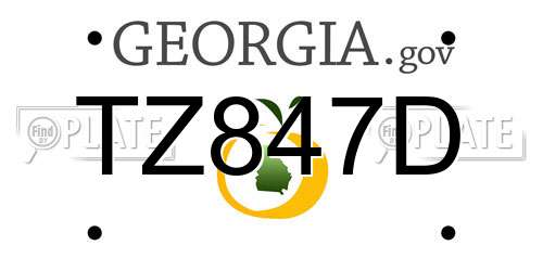 TZ847D Georgia License Plate