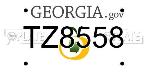 TZ8558 Georgia License Plate