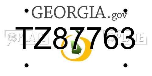TZ87763 Georgia License Plate