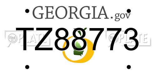 TZ88773 Georgia License Plate