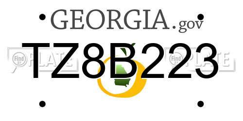 TZ8B223 Georgia License Plate