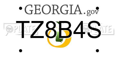 TZ8B4S Georgia License Plate