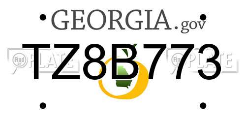 TZ8B773 Georgia License Plate