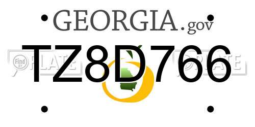 TZ8D766 Georgia License Plate