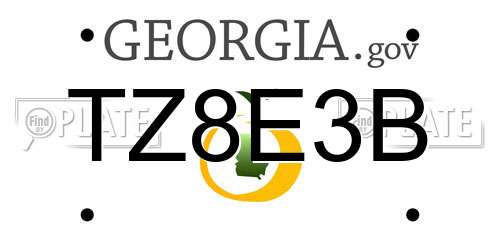 TZ8E3B Georgia License Plate