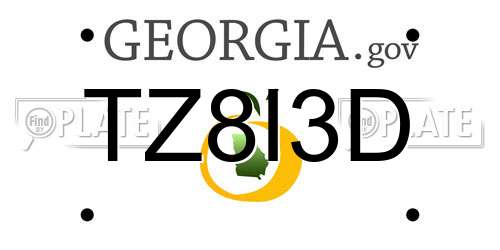 TZ8I3D Georgia License Plate