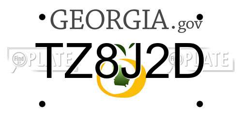 TZ8J2D Georgia License Plate