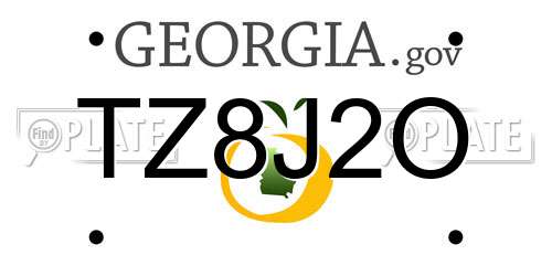 TZ8J2O Georgia License Plate