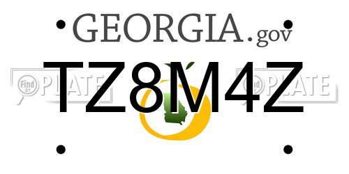 TZ8M4Z Georgia License Plate