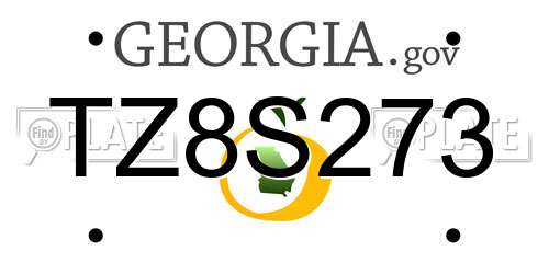 TZ8S273 Georgia License Plate