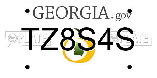 TZ8S4S Georgia License Plate