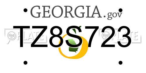 TZ8S723 Georgia License Plate