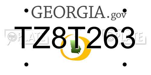 TZ8T263 Georgia License Plate