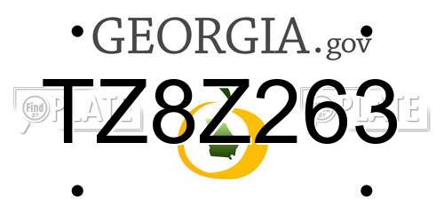 TZ8Z263 Georgia License Plate