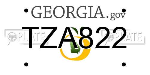 TZA822 Georgia License Plate