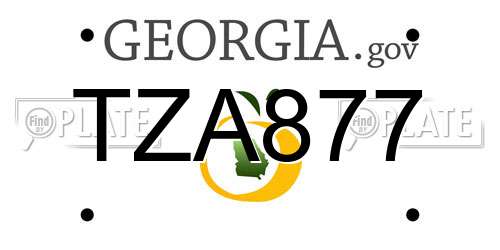 TZA877 Georgia License Plate