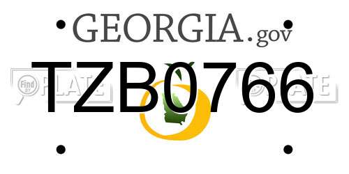 TZB0766 Georgia License Plate