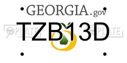 TZB13D Georgia License Plate