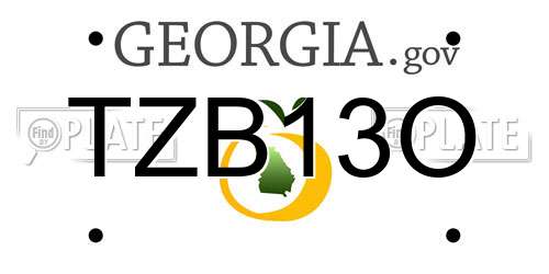 TZB13O Georgia License Plate