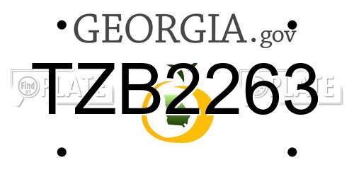 TZB2263 Georgia License Plate
