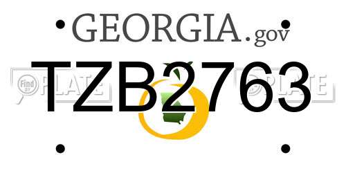 TZB2763 Georgia License Plate