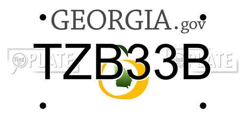 TZB33B Georgia License Plate