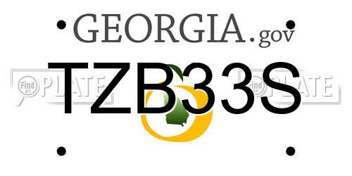 TZB33S Georgia License Plate