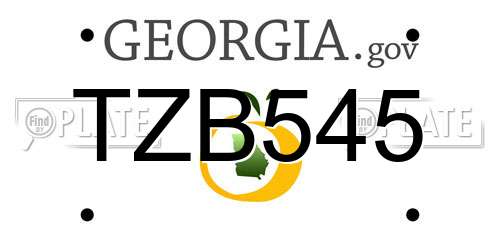 TZB545 Georgia License Plate