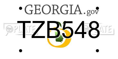 TZB548 Georgia License Plate