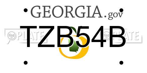 TZB54B Georgia License Plate